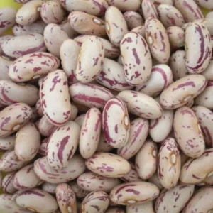 Speckled kidney beans