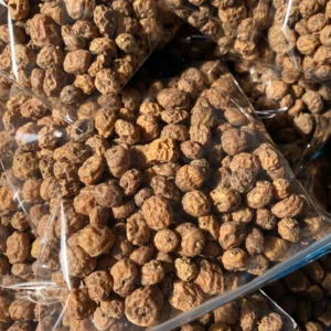 Tiger nut