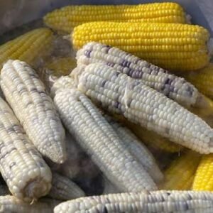 White and yellow corn