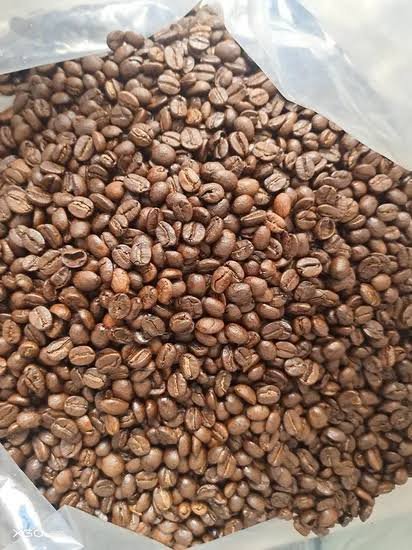 Arabica roasted coffee