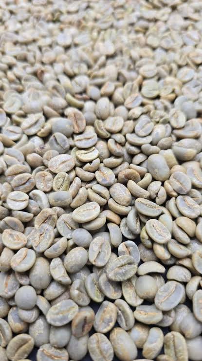 Arabica Roasted Coffee for Sale - Image 4
